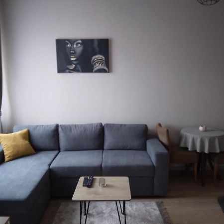 Gray Apartament 2 プリシュティナ エクステリア 写真