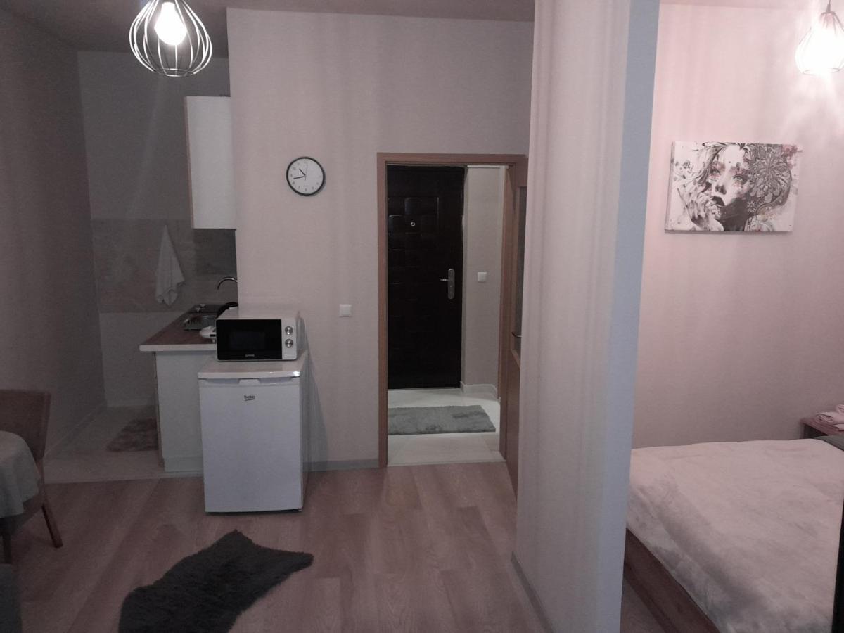 Gray Apartament 2 プリシュティナ エクステリア 写真