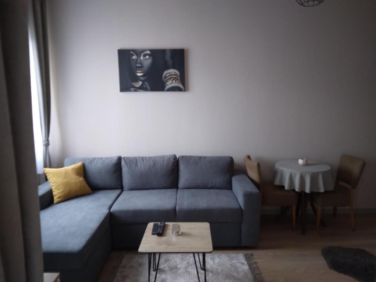 Gray Apartament 2 プリシュティナ エクステリア 写真